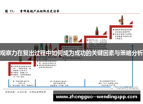 观察力在复出过程中如何成为成功的关键因素与策略分析