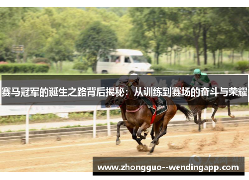 赛马冠军的诞生之路背后揭秘：从训练到赛场的奋斗与荣耀