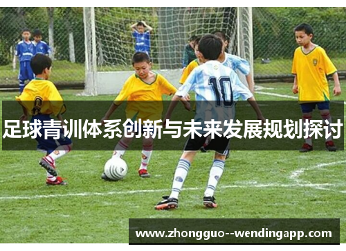 足球青训体系创新与未来发展规划探讨