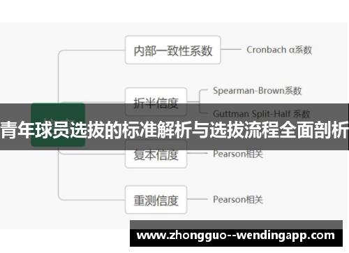 青年球员选拔的标准解析与选拔流程全面剖析