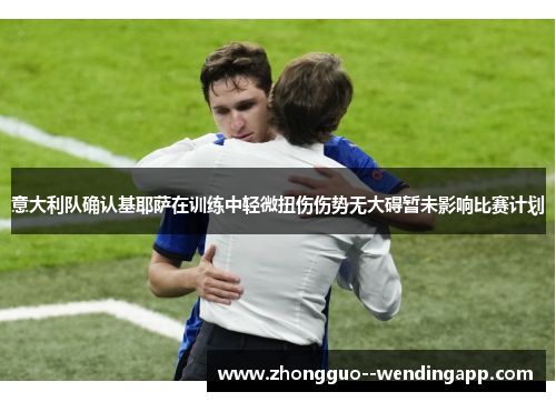 意大利队确认基耶萨在训练中轻微扭伤伤势无大碍暂未影响比赛计划